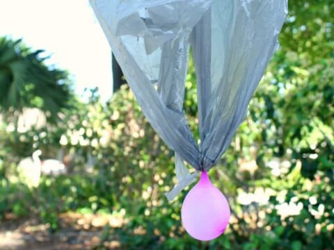 Image for Water Balloon Parachute STEM Activity