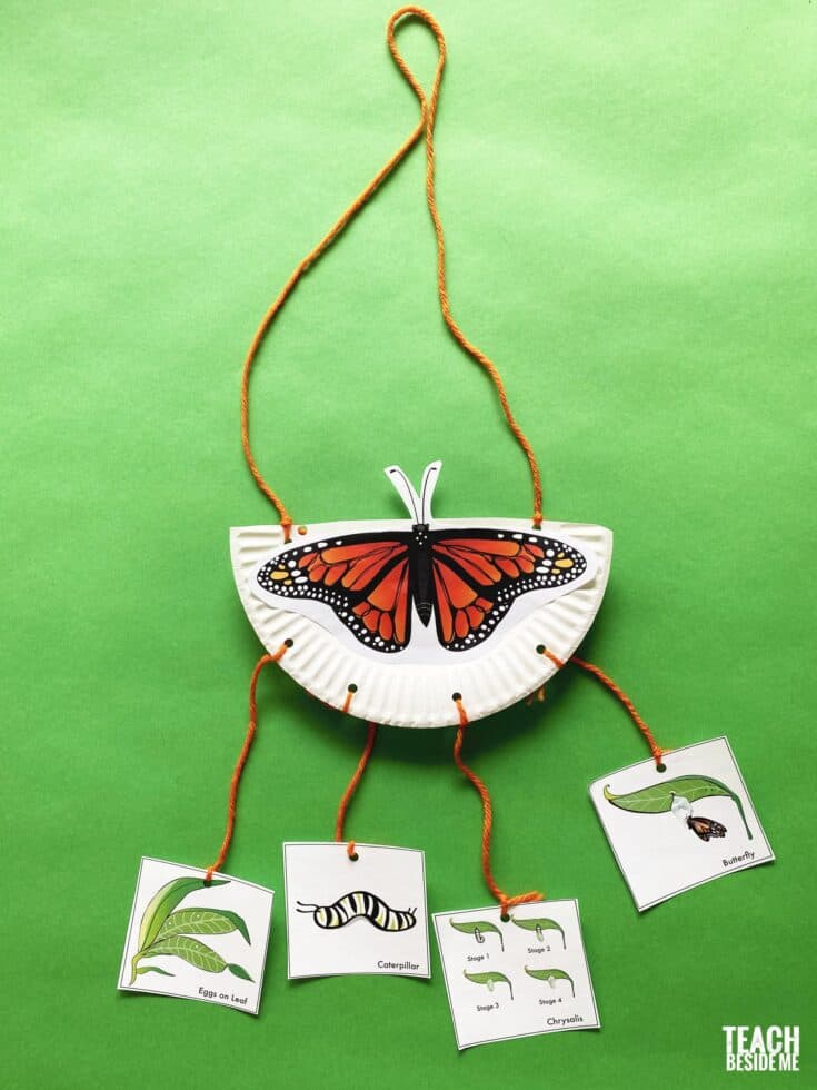 monarch-butterfly-life-cycle-scaled-1-735x980 21 Monarch Butterfly Crafts for Preschoolers