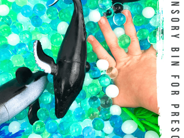 Image for Water Bead Ocean Sensory Bin