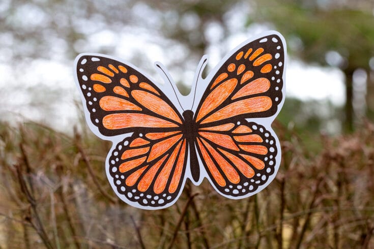 vellum-butterfly-suncatcher 21 Monarch Butterfly Crafts for Preschoolers