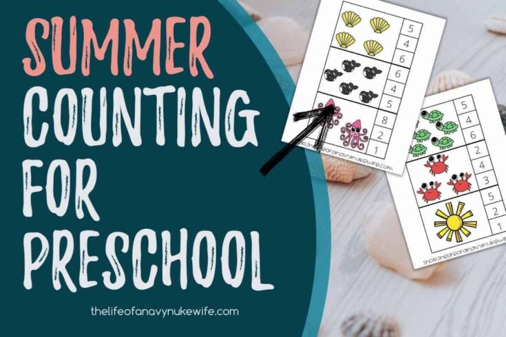 Summer-Counting-Cards-feature-735x490 Ocean Themed Math Activities