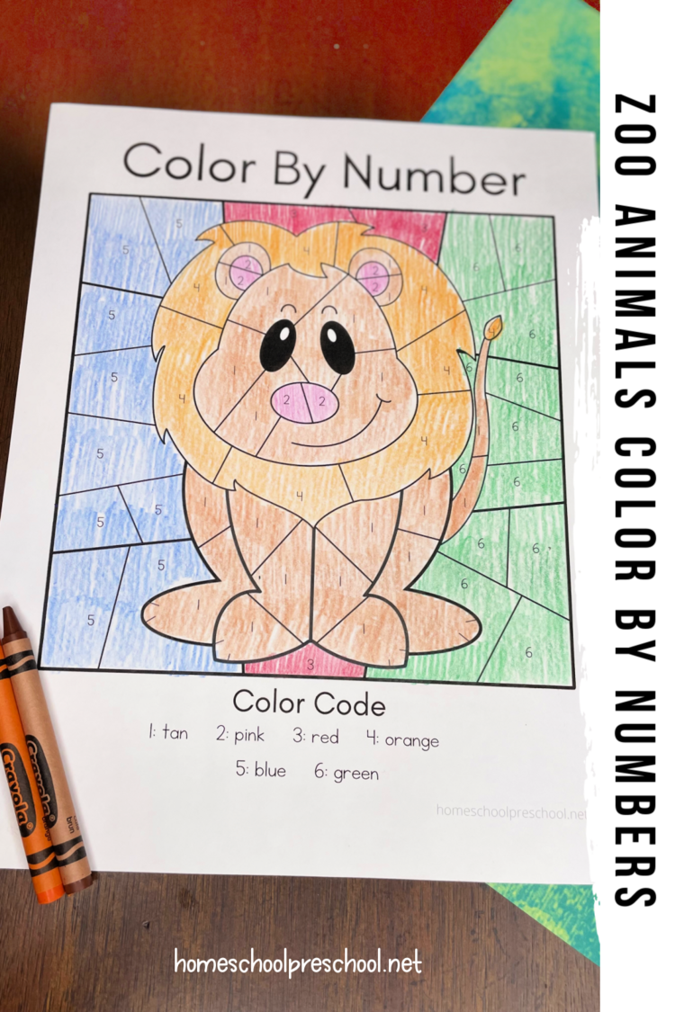 Zoo Animals Color by Number