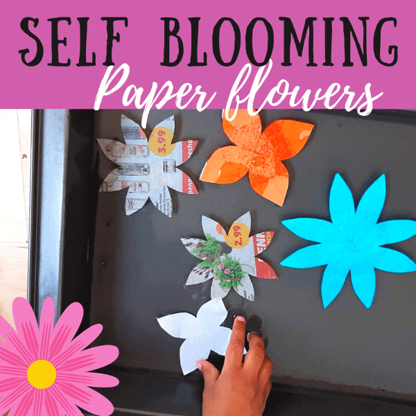 self-blooming-paper-flowers Hands-On Science Activities