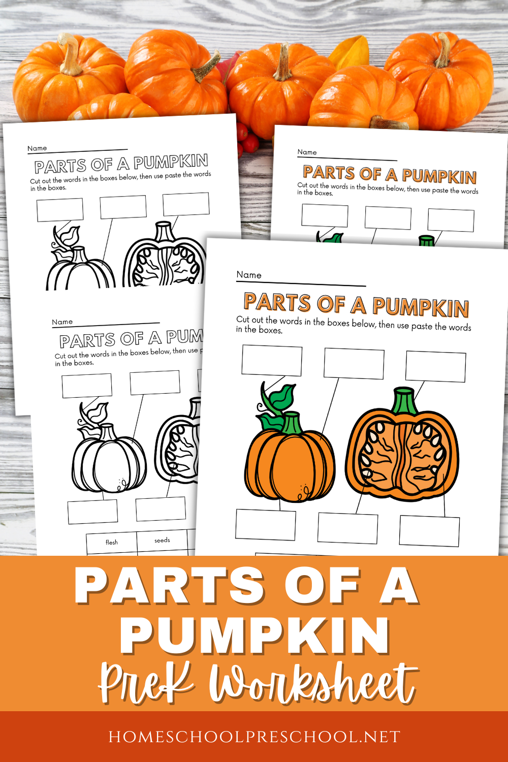 parts-of-a-pumpkin-worksheet- Parts of a Pumpkin