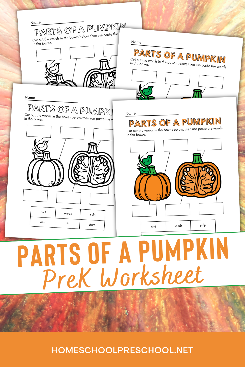 parts-of-the-pumpkin-worksheet Parts of a Pumpkin