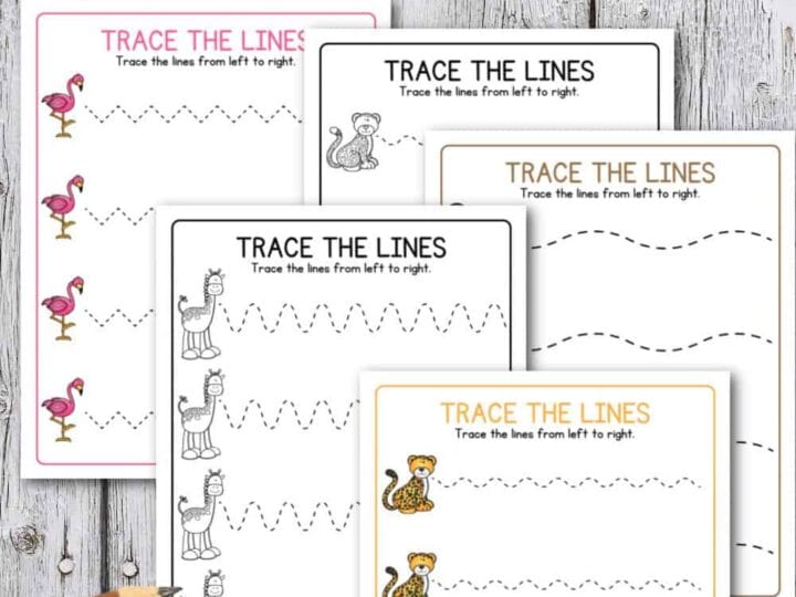 Image for Camping Tracing Worksheets