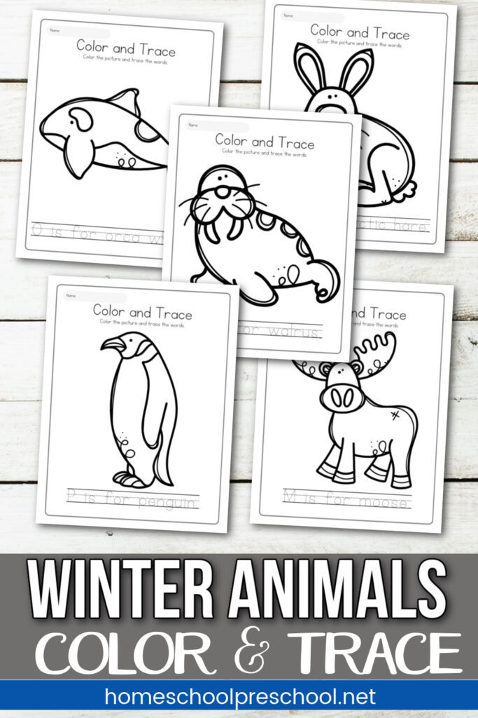 winter-animals-pictures-683x1024 Winter Animals Worksheets
