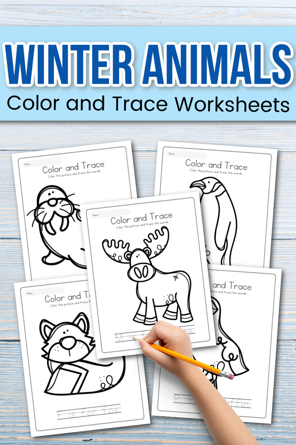 Color and Trace Winter Animals Worksheets