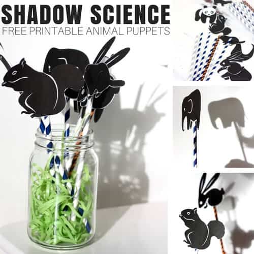 Shadow-Science-Activity-for-Kids-Physics Groundhog Day Science Activities