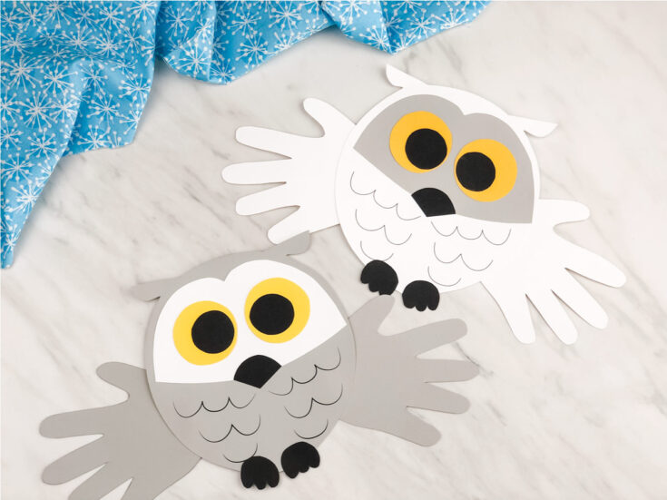 snowy-owl-handprint-craft-for-kids-image-fb-735x551 Handprint Winter Animals Crafts