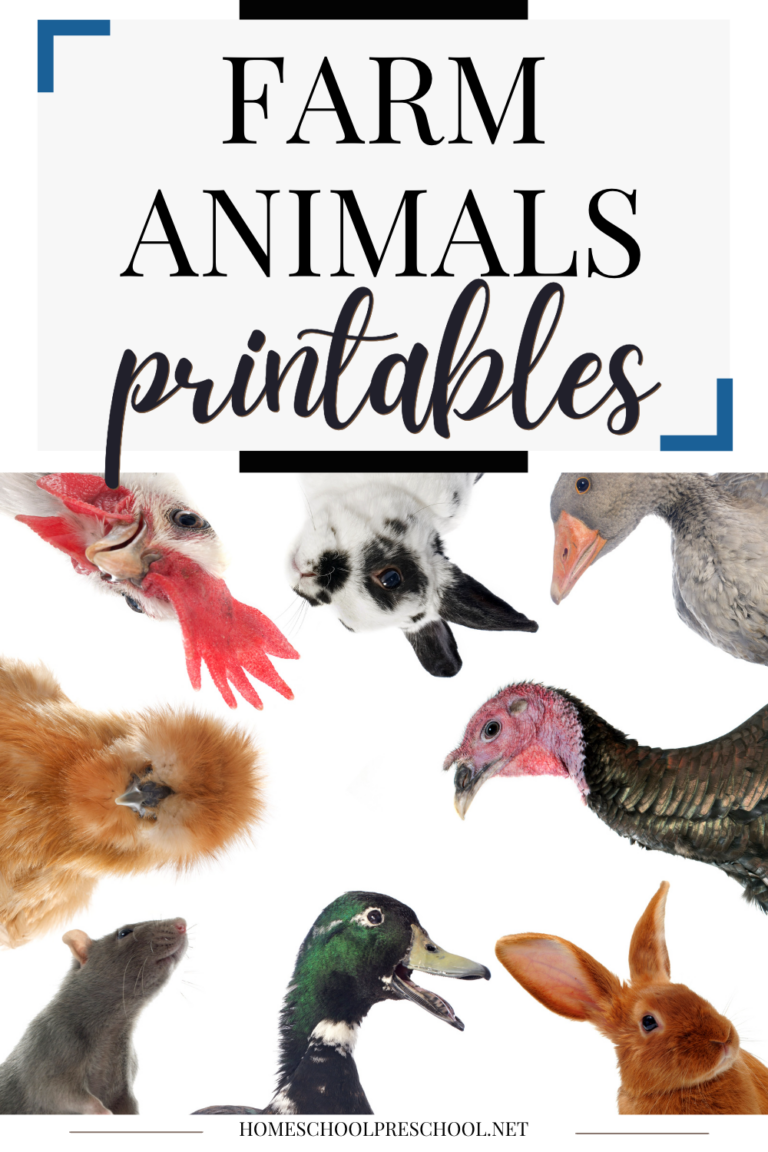 Farm Animals Printables
