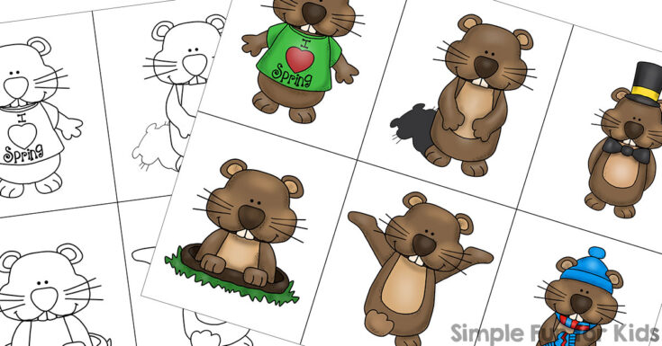 groundhog-day-matching-game-for-toddlers-printable-title-fb-735x385 13 Simple Groundhog Day Activities for Toddlers