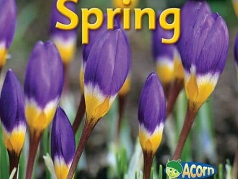 Image for Spring