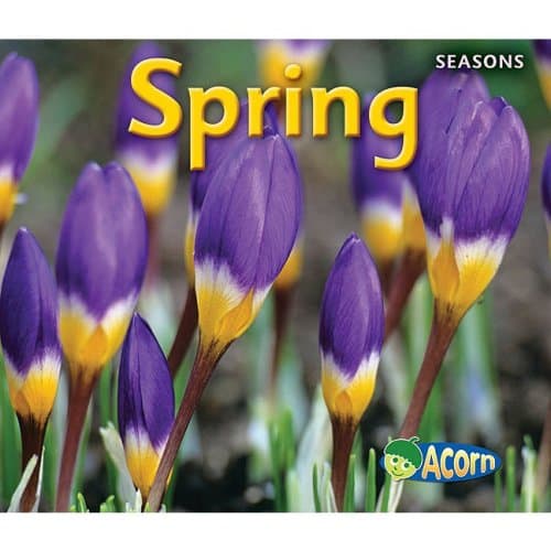 Image for Spring