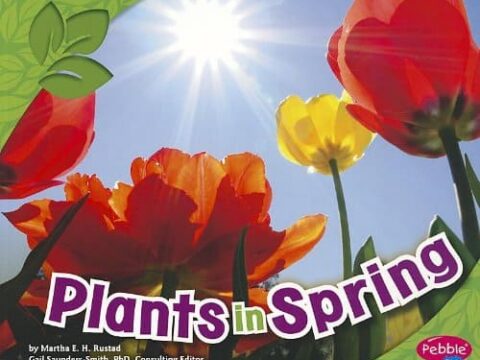 Image for Plants in Spring