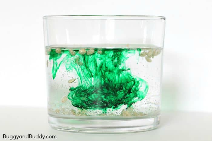 5wm How to Engage Preschoolers with Jar Science Experiments