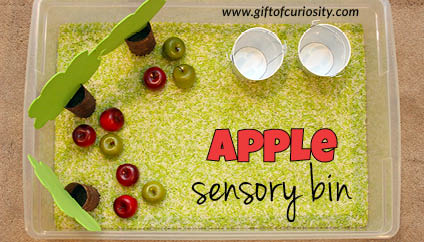 Apple-sensory-bin-FB Apple Sensory Bin Ideas