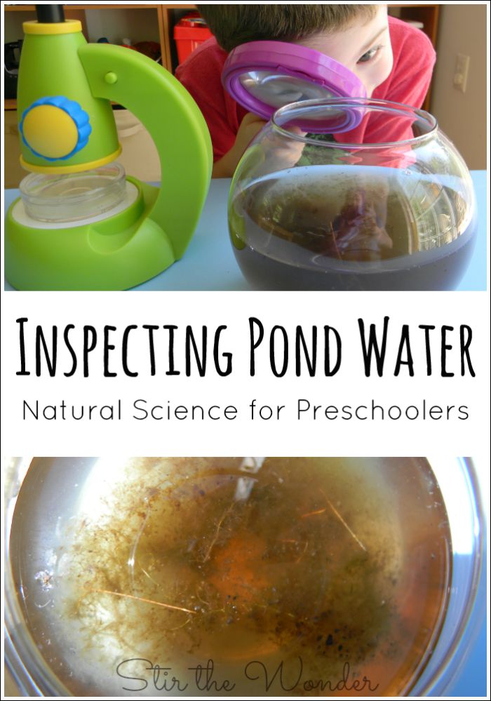 Inspecting-Pond-Water Summer Learning Activities for Preschool