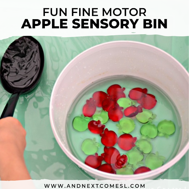 apple-sensory-bin-with-water-square Apple Sensory Bin Ideas