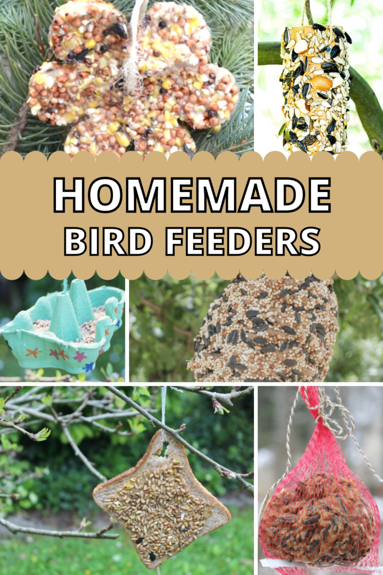 Homemade Bird Feeders