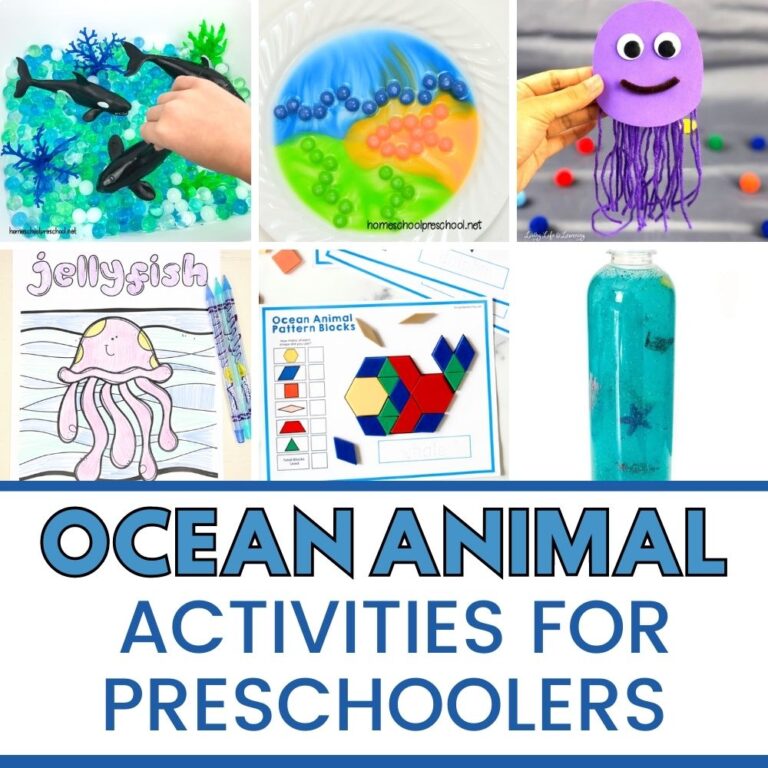 Ocean Animal Activities for Preschoolers￼