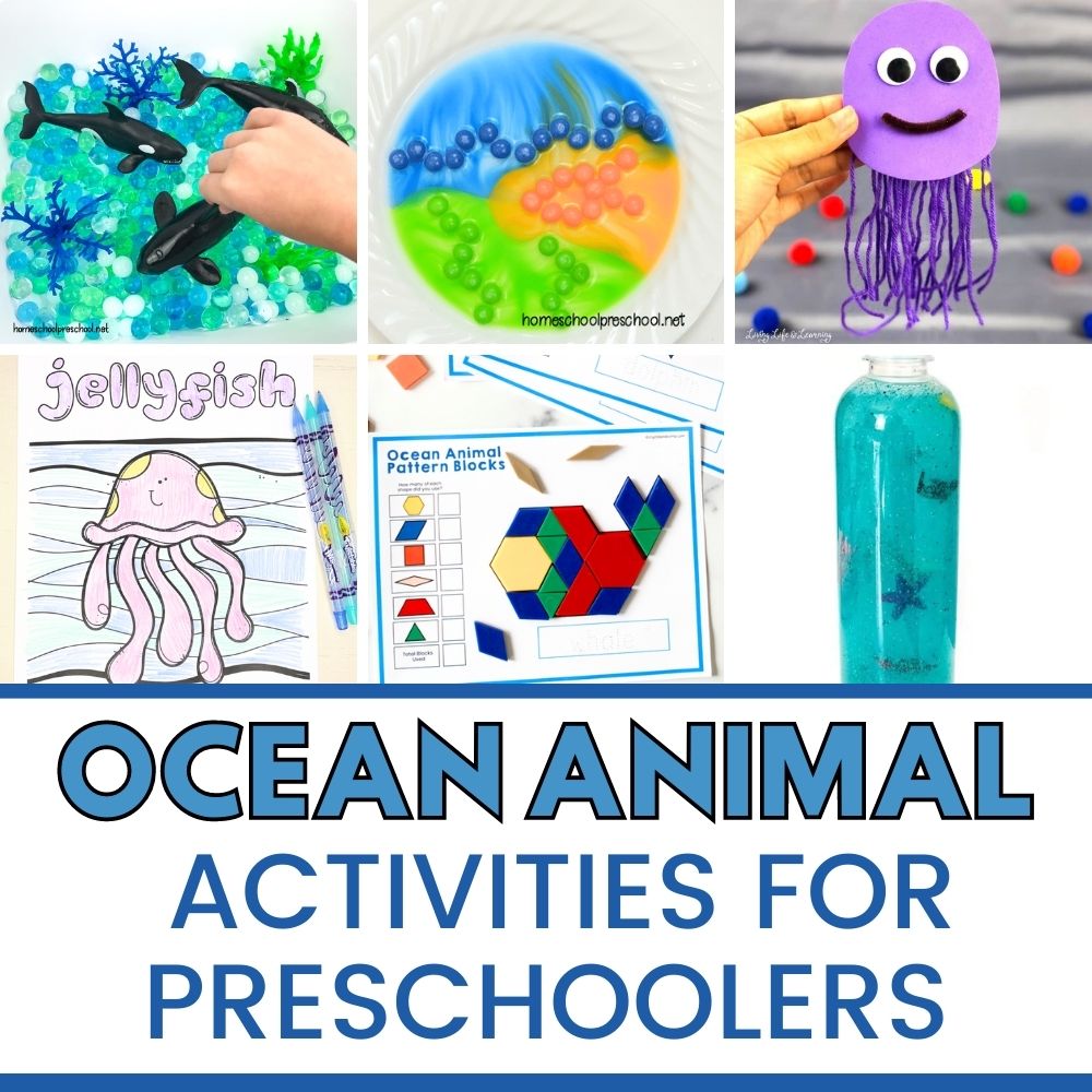 Collage of 6 Preschool Ocean Animal Activities 