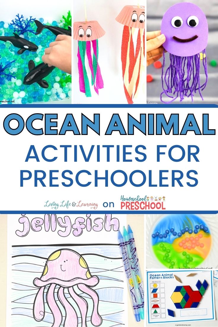 Ocean Animal Activities for Preschoolers