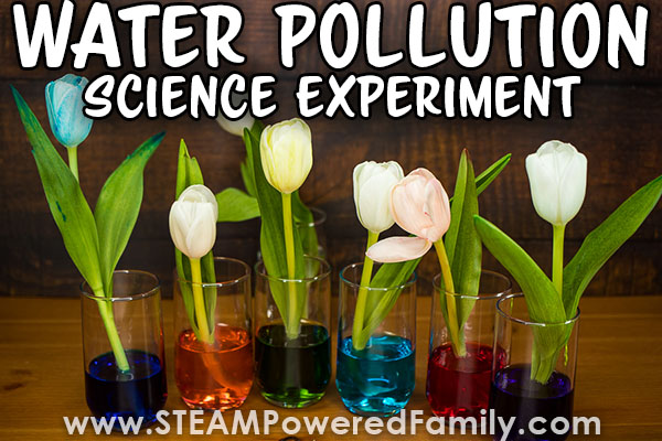 Water-pollution-experiment-feature Ocean Science Experiments