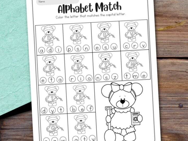 Image for Alphabet Letter Matching Worksheets