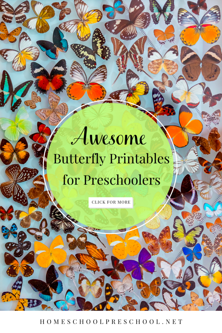 Butterfly Printables
