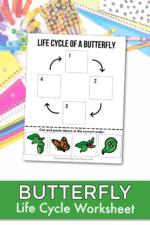 Free Butterfly Life Cycle Printable | Homeschool Preschool