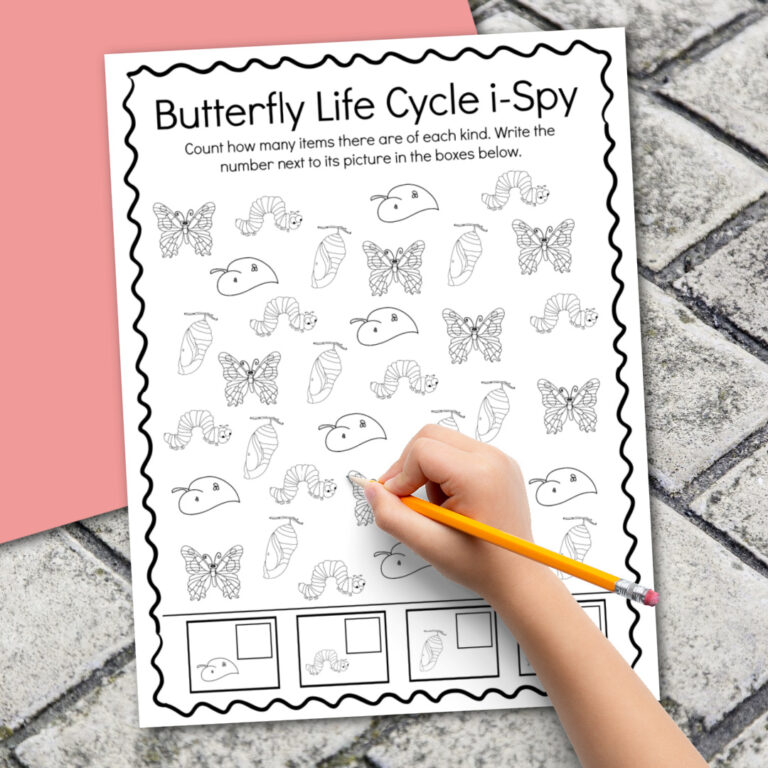 Life Cycle of a Butterfly Preschool Worksheet