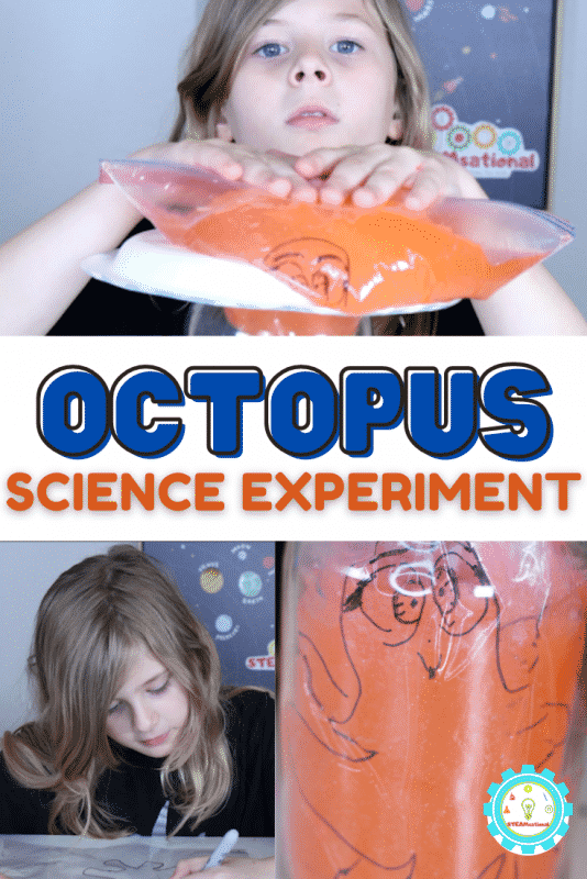 octopus-science-experiment-534x800-1 Ocean Science Experiments