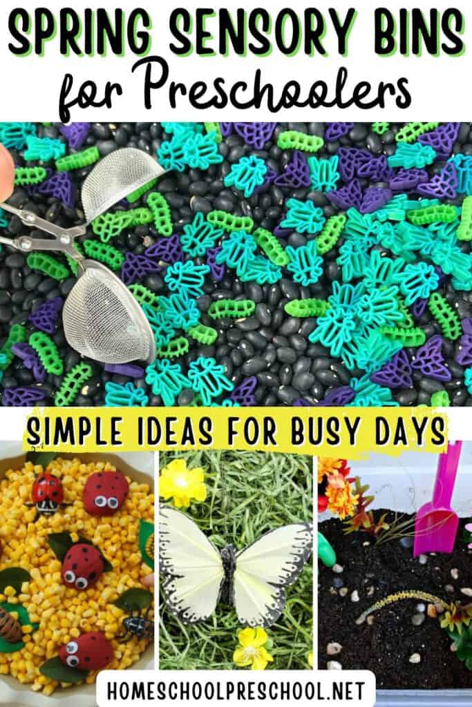 Spring sensory bins for preschoolers collage featuring insect and garden sensory bins with beans, corn, grass, and soil, labeled “Simple Ideas for Busy Days” from HomeschoolPreschool.net.