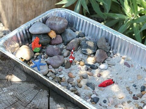Image for DIY Tide Pool Science Experiment for Kids