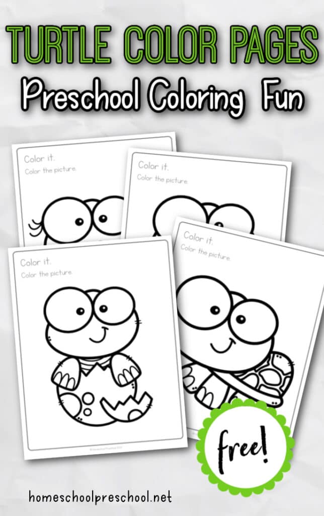 Free Printable Turtle Coloring Pages for Preschoolers