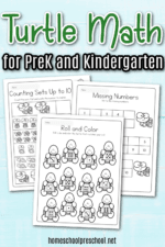 Turtle Math Subtraction Free Printable Turtle Math Worksheets