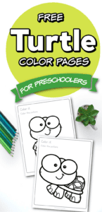 Free Printable Turtle Coloring Pages for Preschoolers