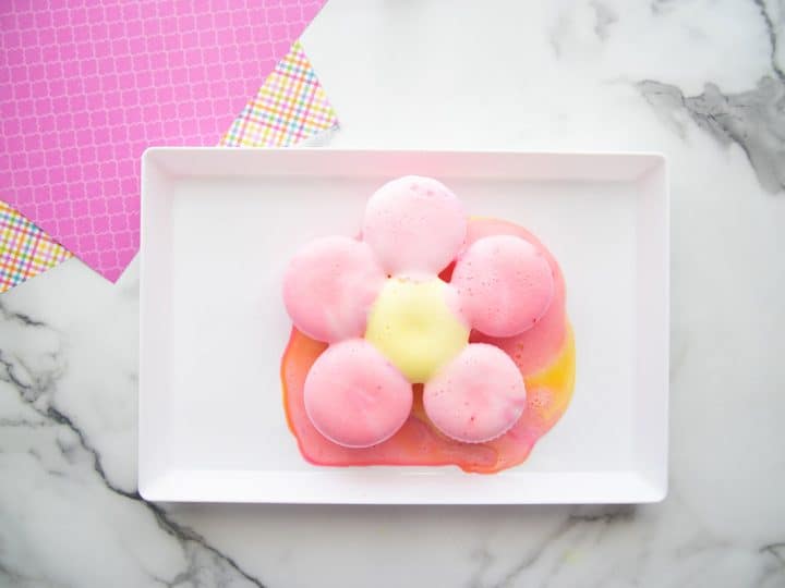 Image for Fizzy Flower Science Experiment