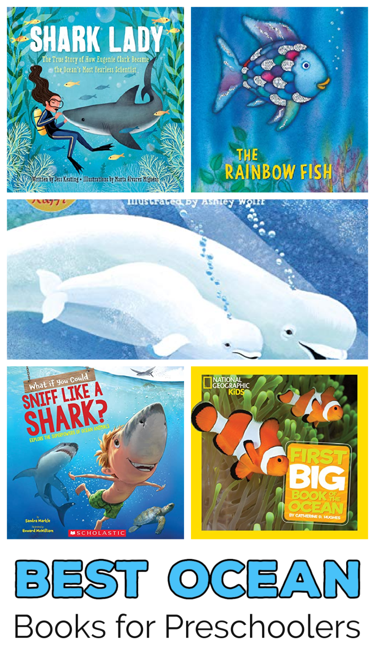 Best Ocean Books for Preschoolers
