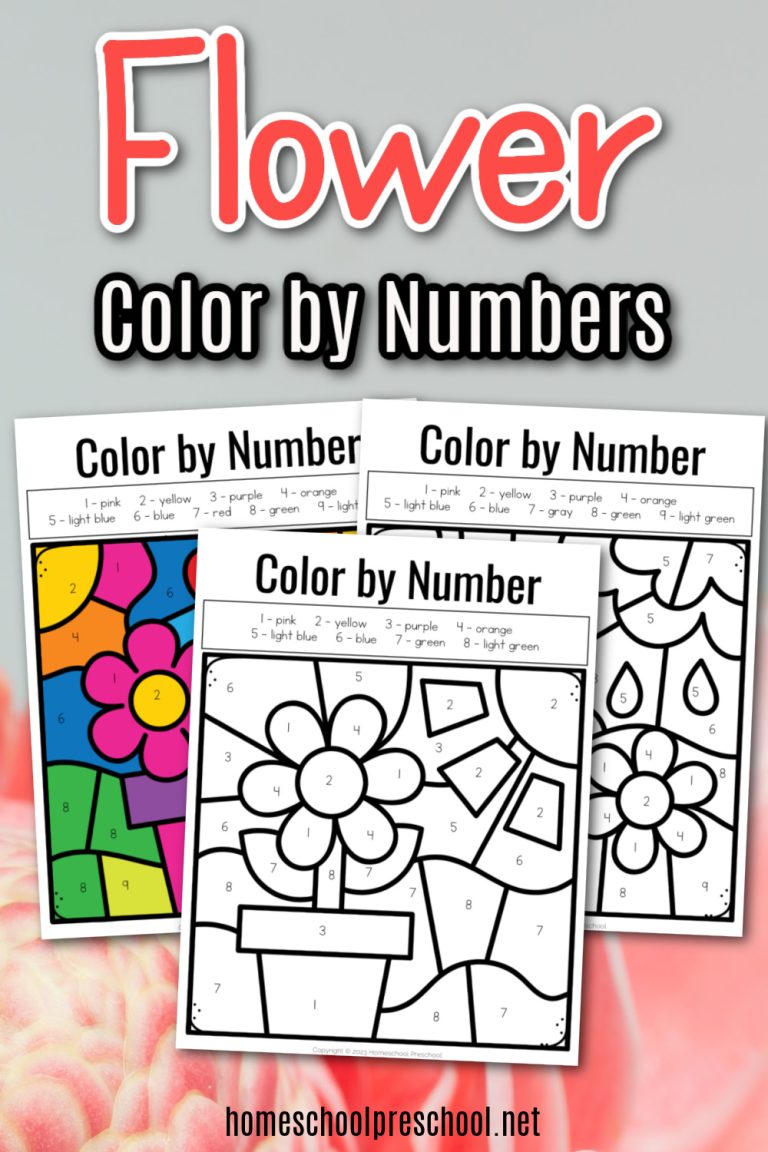 Flower Color by Number Printables
