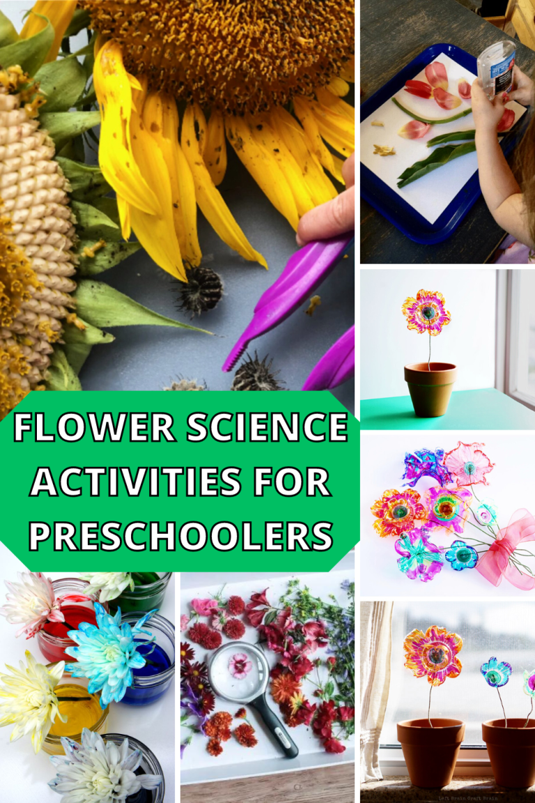 Flower Science Activities for Preschoolers