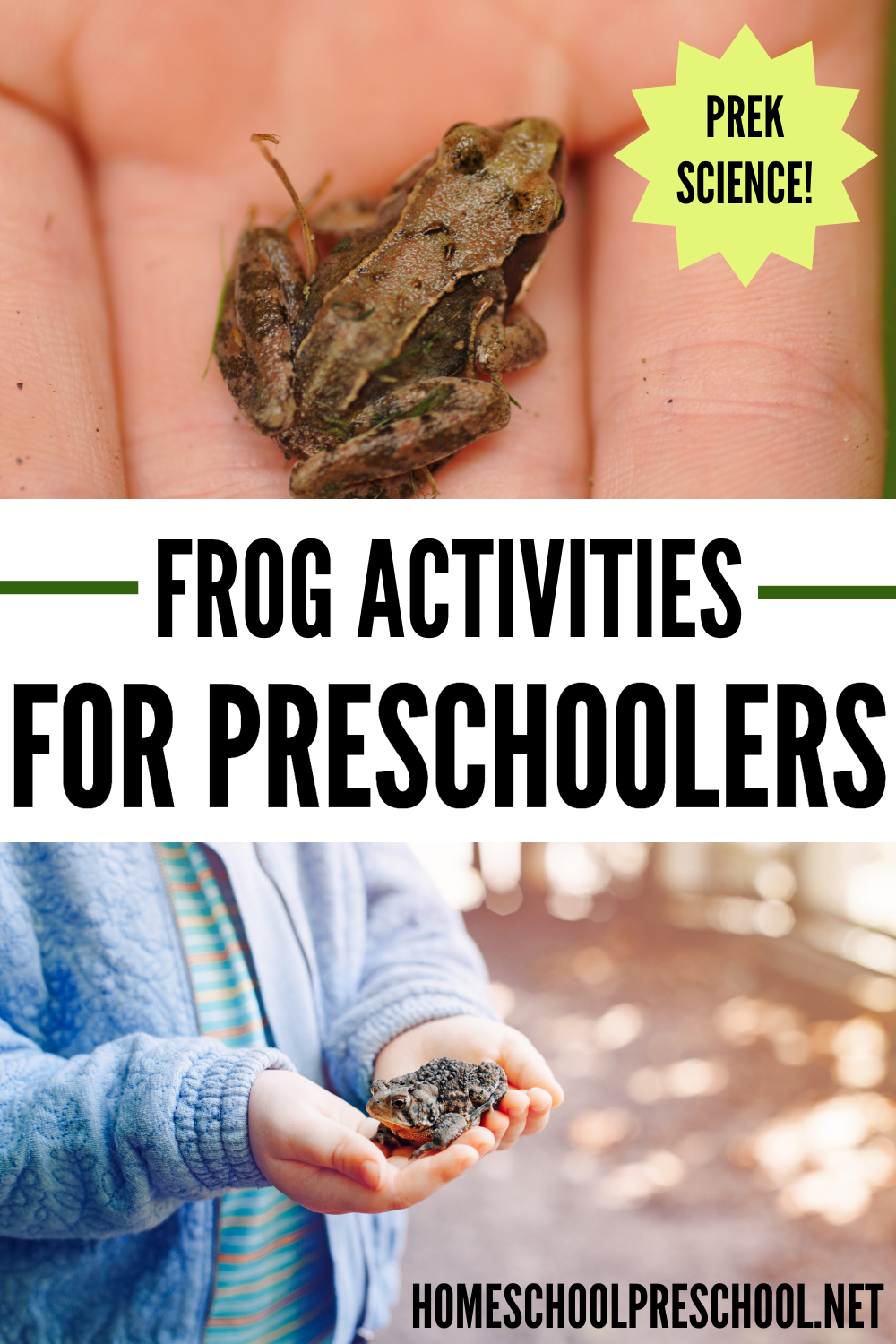 frog-for-kids Frog Activities for Preschool