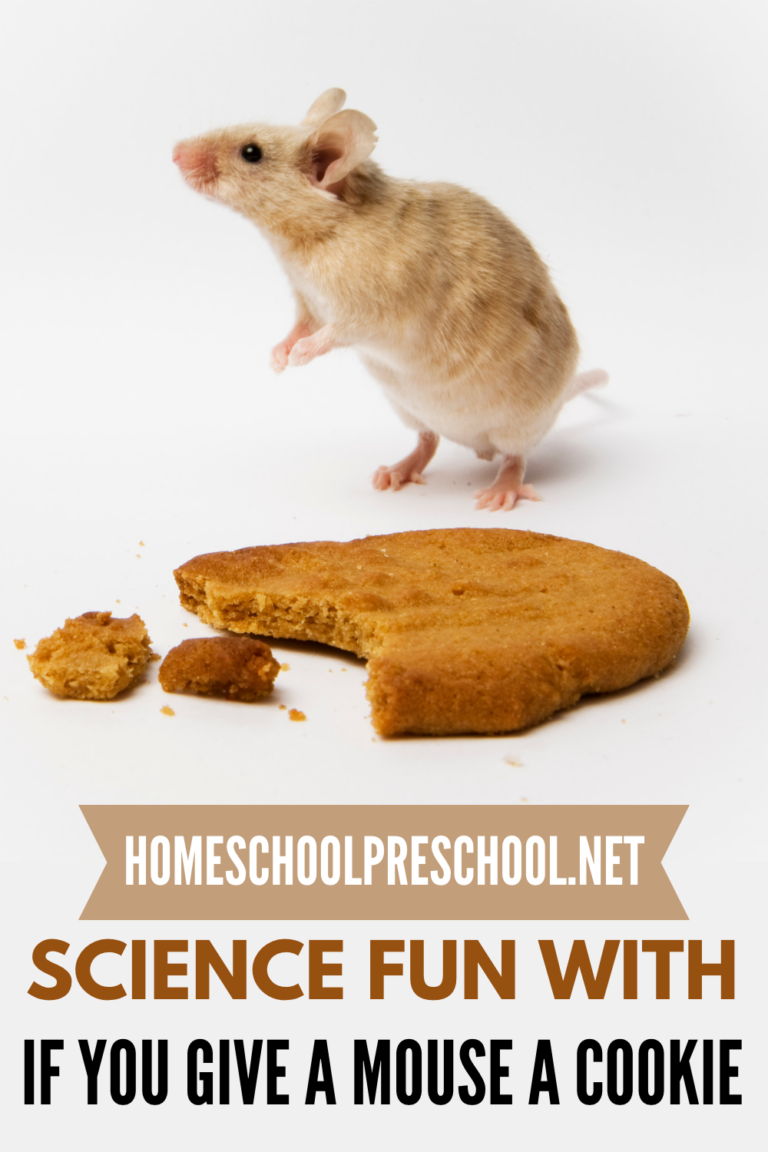 If You Give a Mouse a Cookie Science Activities