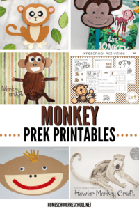 Marvelous Monkey Printables for Preschoolers