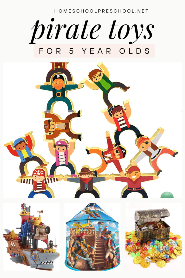 Pirate Toys for 5 Year Olds