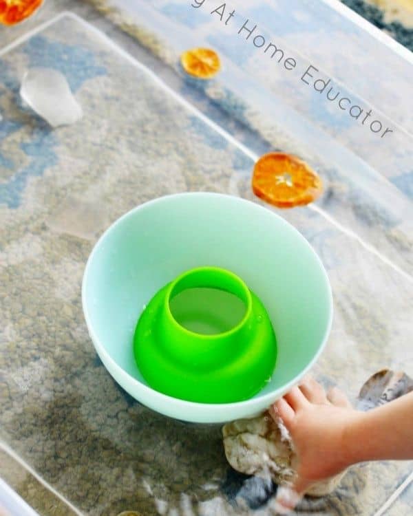 Ocean Science Experiments for Preschool Kids