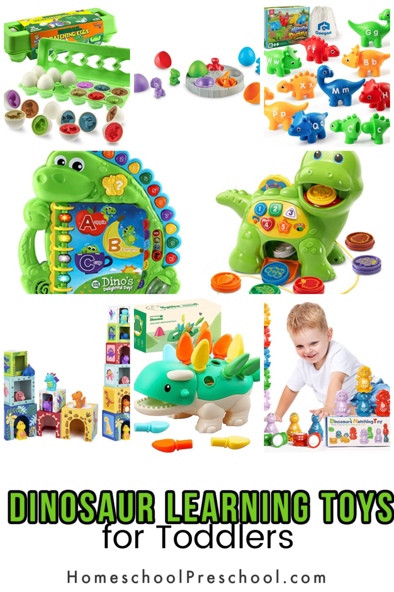Dinosaur Learning Toys for Toddlers