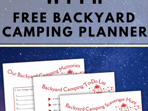 Image for Backyard Camping Planner