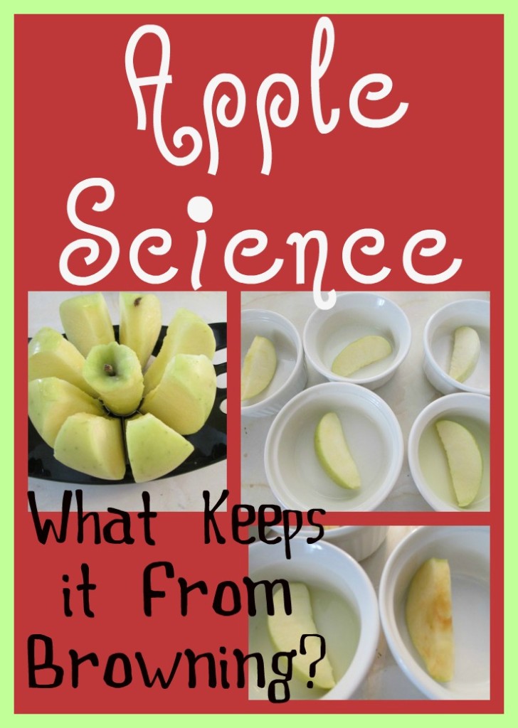 Apple-Science-728x1024-1 Activities for Johnny Appleseed Day